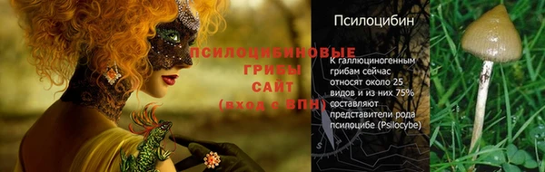 mdpv Костерёво