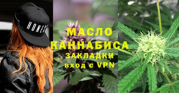 трава Корсаков
