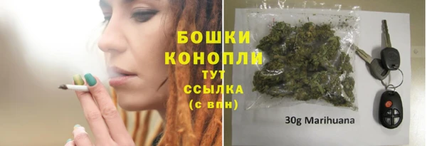 трава Корсаков