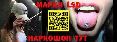 гидропоника Гатчина