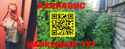 винт Гай