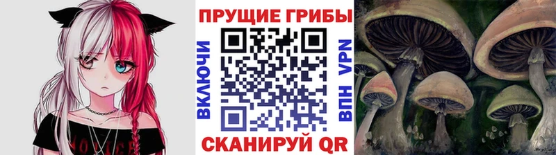 OMG ссылки  Касимов  Галлюциногенные грибы ЛСД  цена наркотик 