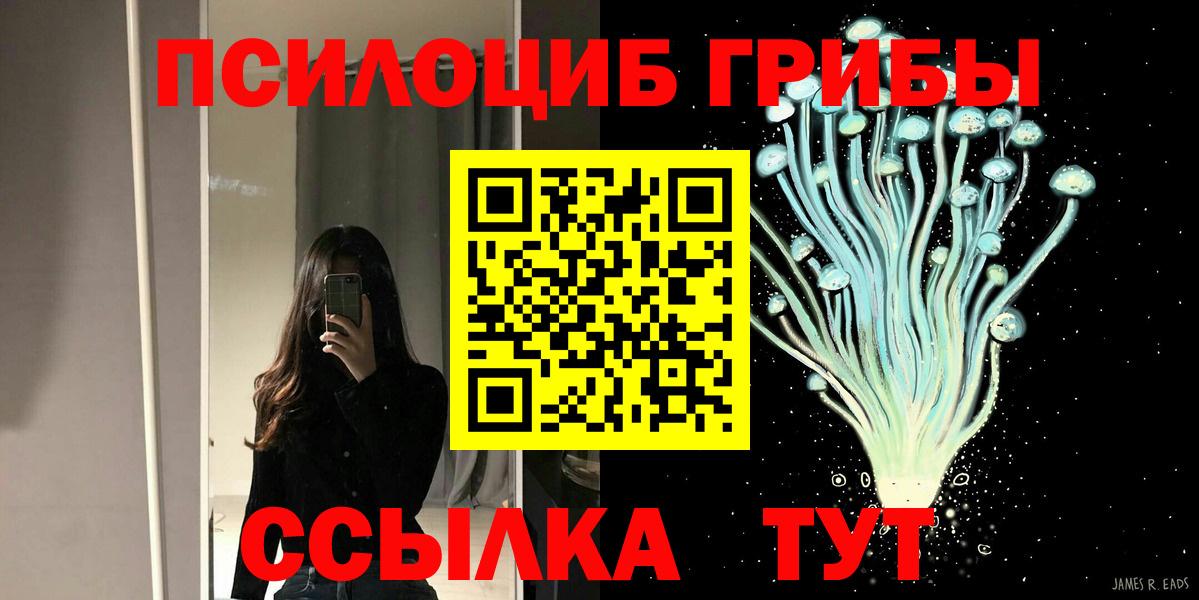 Псилоцибиновые грибы Psilocybine cubensis  Псилоцибиновые грибы Psilocybe  Касимов  Вход с VPN 